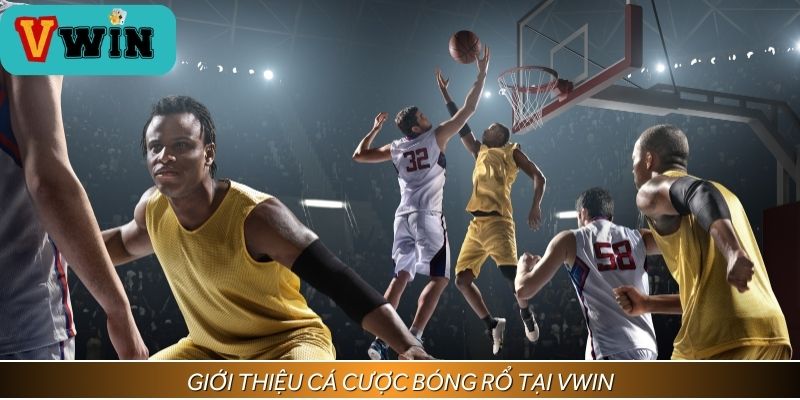 Tổng quan về cá cược bóng rổ
