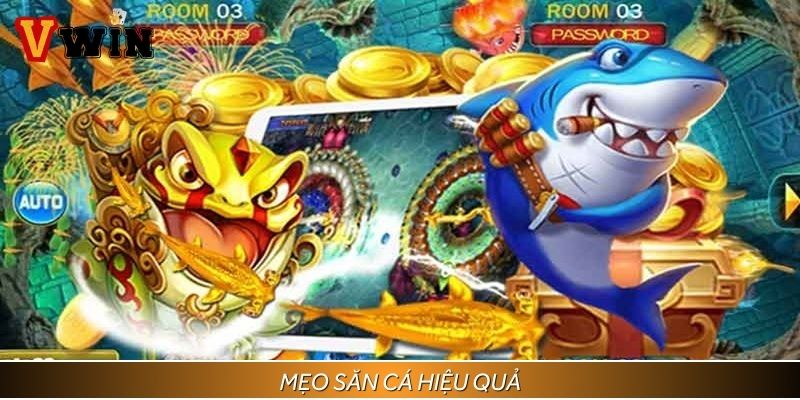 Mẹo săn cá hiệu quả