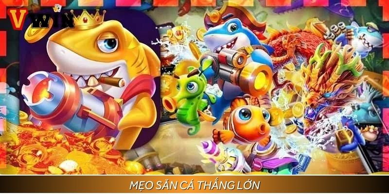 Mẹo săn cá thắng lớn