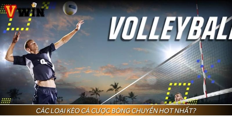 Tìm hiểu các loại kèo cá cược bóng chuyền