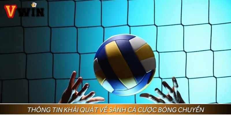 Đôi nét về sân chơi cá cược bóng chuyền tại Vwin