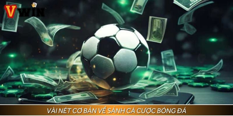 Giới thiệu sảnh cá cược bóng đá tại Vwin
