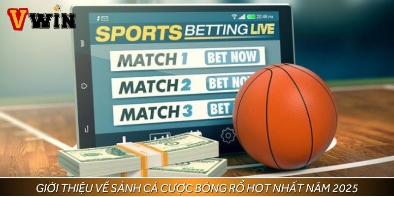 Khám phá sảnh cá cược bóng rổ được bet thủ ưa chuộng