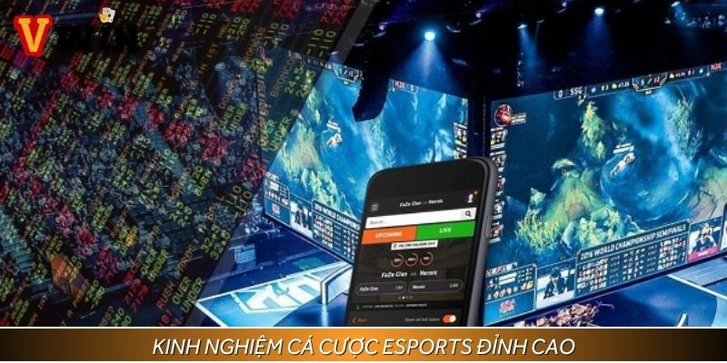 Bỏ túi kinh nghiệm cá cược ESports